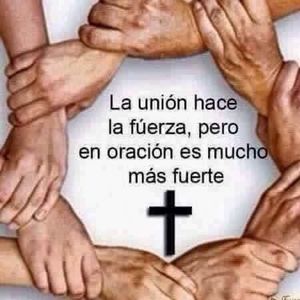 Meet your Posher, Elena